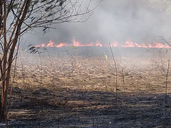 Focos de incêndio são registrados em área de vegetação do Aeroporto de Vitória