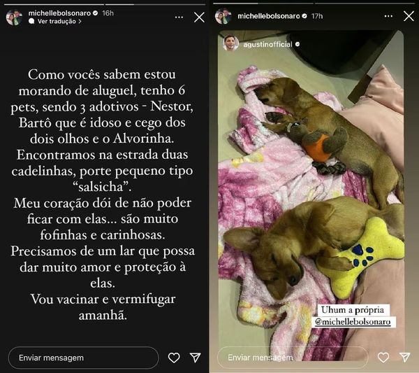 No Instagram, ex-primeira-dama disse estar colocando cadelas para adoção por estar morando de aluguel