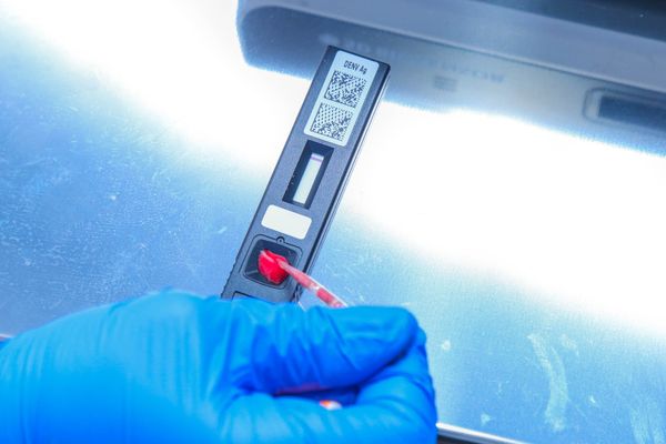 Teste rápido dengue