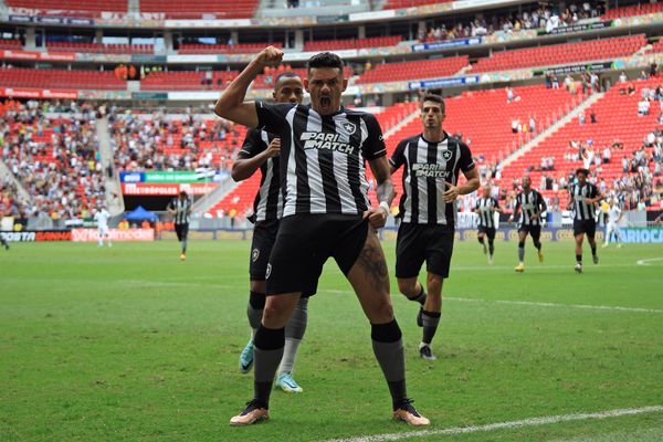 CETURB/ES - Programação especial de ônibus para o jogo entre Botafogo e Rio  Branco