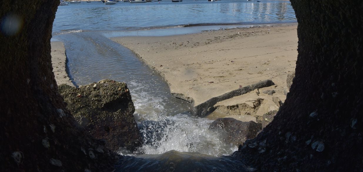 Ouça detalhes na entrevista com a auditora de Controle Externo do TCES, Ana Emília Brasiliano