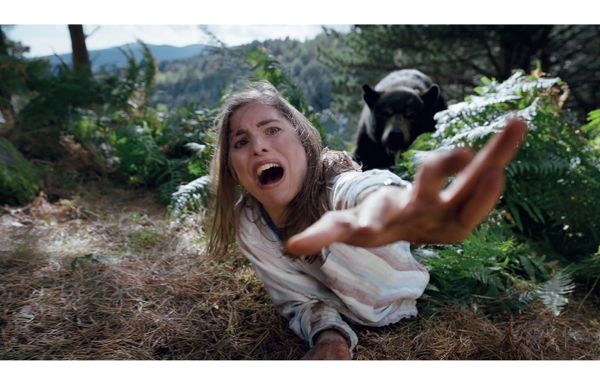 Maldita cocaína: O Urso do Pó Branco chegou aos cinemas