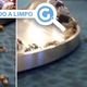 Imagem - Caranguejos em esteira de bagagem de aeroporto? Teve, mas não em Vitória