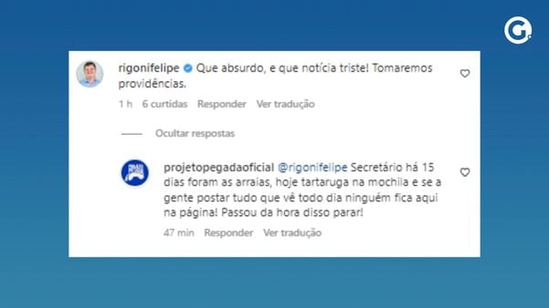 Secretário de Estado do Meio Ambiente sobre tartaruga morta: 