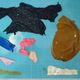 Imagem - O que tinha na barriga da tartaruga encontrada morta em mochila em Vitória