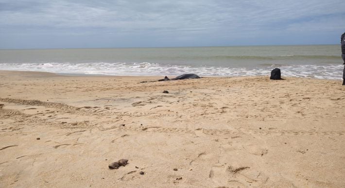 Laion Sousa Henrique, de 36 anos, teria se afogado no domingo (26). No entanto, com o vento forte dos últimos dias no litoral, o corpo veio parar no Sul do Espírito Santo