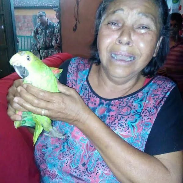 A aposentada Maria de Lourdes Ferreira teve a saúde abalada após seu papagaio, o Guri, ser apreendido depois de estar na sua convivência por 22 anos 