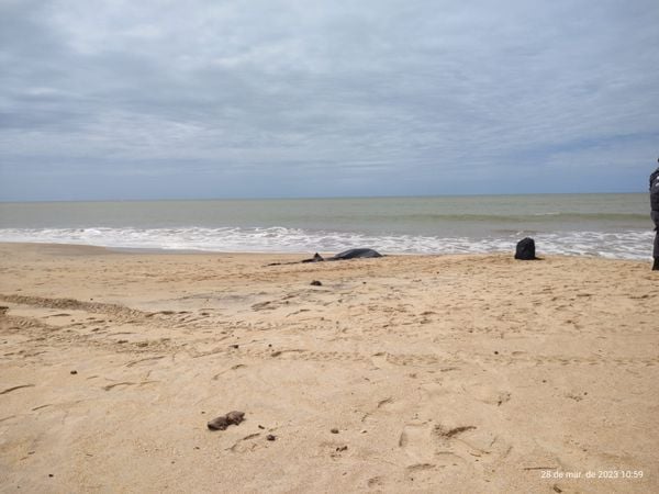 Homem que desapareceu em mar do RJ é encontrado morto em praia de Marataízes