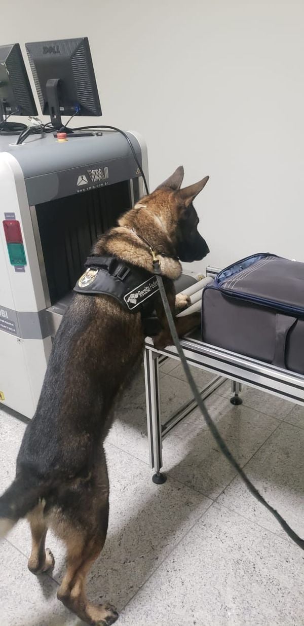Receita Federal encontra cocaína negra em mala no Aeroporto de Vitória por Divulgação | Receita Federal