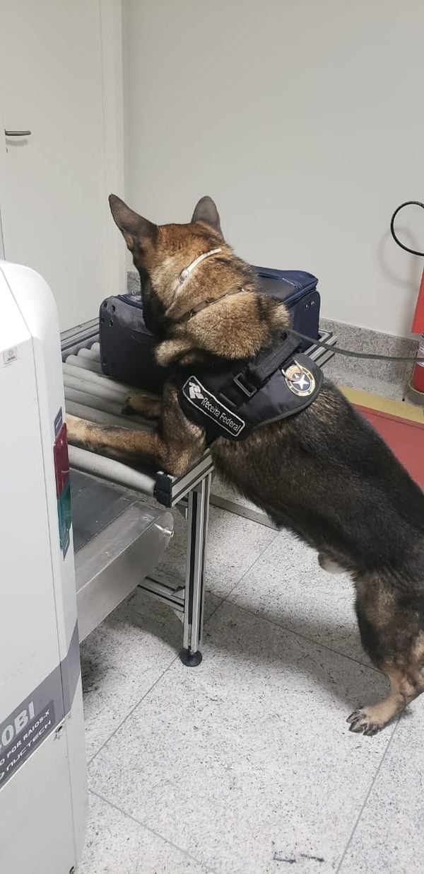 Receita Federal encontra cocaína negra em mala no Aeroporto de Vitória por Divulgação | Receita Federal