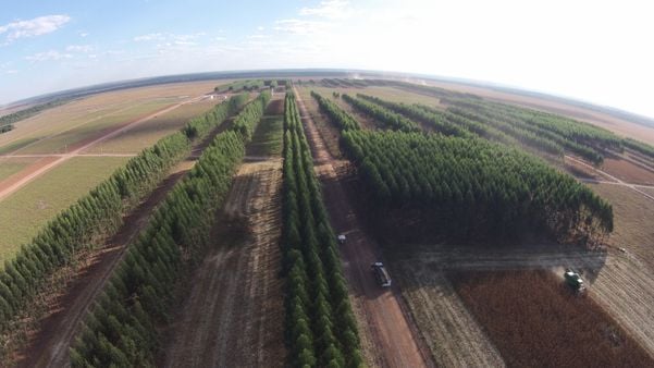 Fomento de práticas sustentáveis é o foco do LabCerrado
