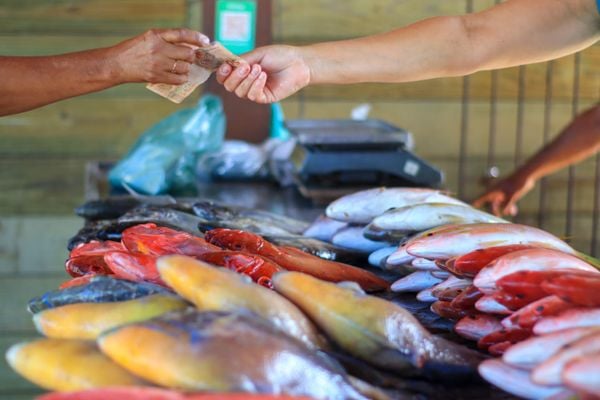Mercado de peixes de Jacaraípe, na Serra