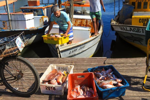 Mercado de peixes de Jacaraípe, na Serra