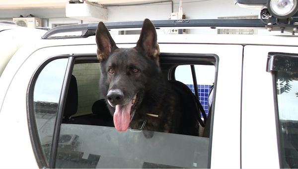 Messi integra equipe da PM do 9º Batalhão em Cachoeiro de Itapemirim 