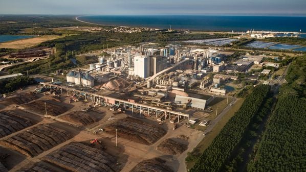 A Suzano, gigante brasileira na produção de celulose e papel, anunciou, na manhã desta quinta-feira (05), a compra de 51% dos negócios internacionais da norte-americana Kimberly-Clark