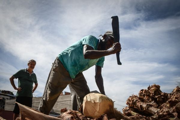 O produto é um dos principais ingredientes da torta capixaba por Fernando Madeira
