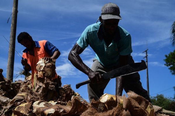 O produto é um dos principais ingredientes da torta capixaba por Fernando Madeira