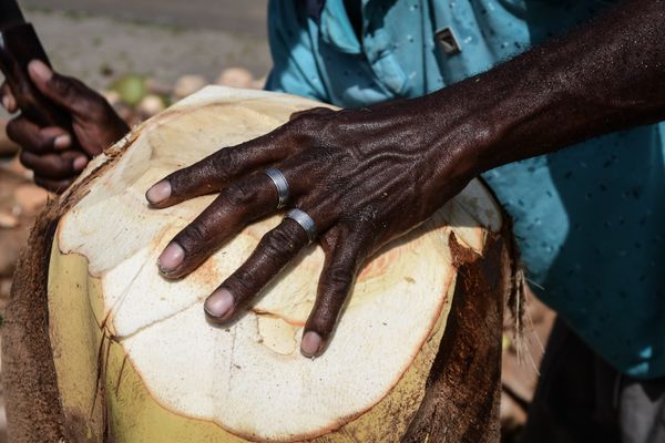 O produto é um dos principais ingredientes da torta capixaba por Fernando Madeira
