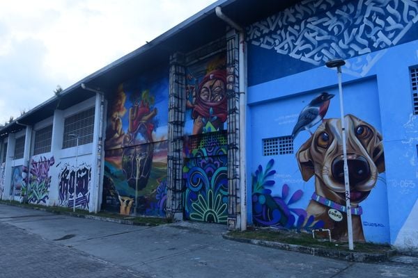 Artes realizadas em Feu Rosa, na Serra, pelos artistas participantes do projeto Origraffes  por Carlos Alberto