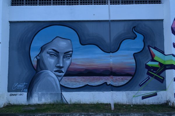 Artes realizadas em Feu Rosa, na Serra, pelos artistas participantes do projeto Origraffes  por Carlos Alberto