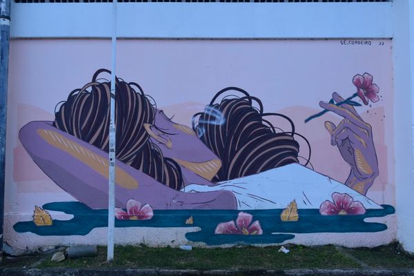 Artes realizadas em Feu Rosa, na Serra, pelos artistas participantes do projeto Origraffes  por Carlos Alberto