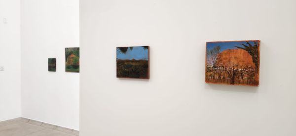 "Madeira, barro, corpo e paisagem"