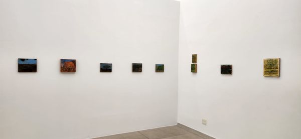 Mostra "Madeira, barro, corpo e paisagem"