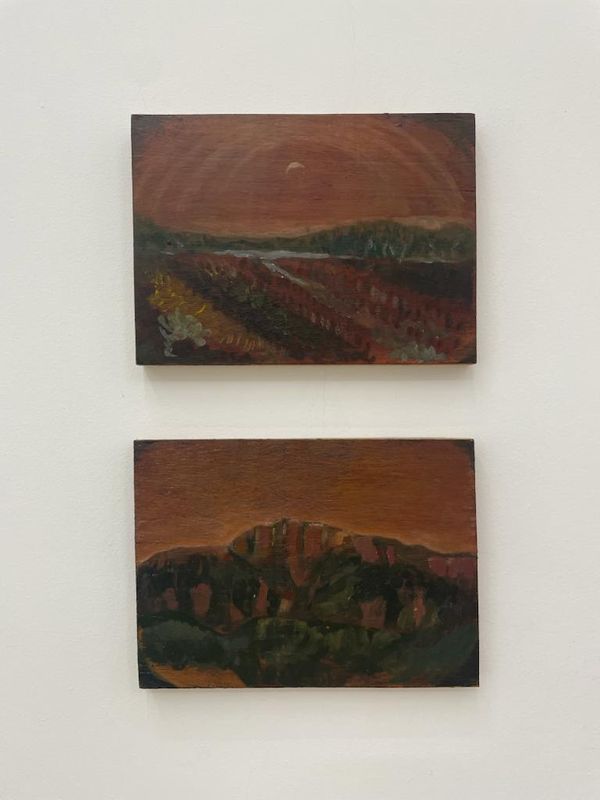 Obra de David Almeida