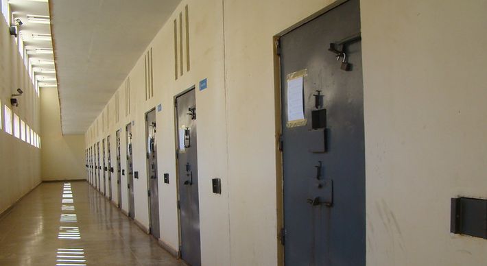 Prisões preventivas com duração maior do que um ano, de gestantes, de mães e mulheres responsáveis por crianças e de pessoas com deficiência presas cautelarmente foram analisadas