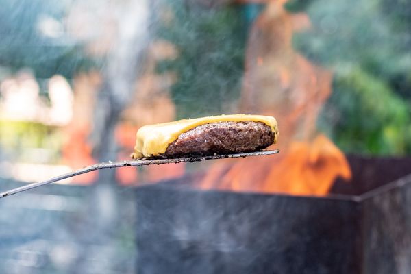 Com 8 toneladas de carne, o Carnivoria vai reunir o melhor do churrasco internacional no shopping em dois fins de semana no Espírito Santo por Shopping Vitória/Divulgação