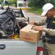 Imagem - Homem que saiu do ES é detido com sapos na BR 259 em Minas Gerais