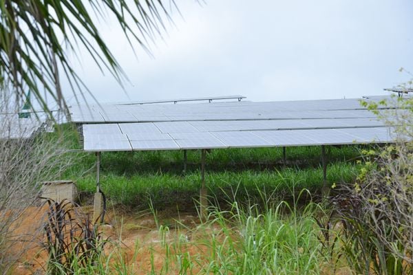 Inauguração da Usina de energia solar do Sítio Esperança por Dayana Souza