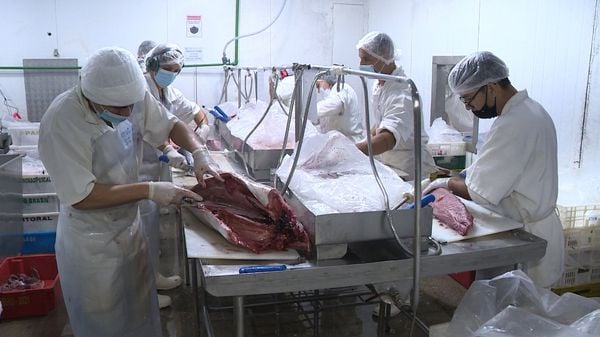 Atum em conserva de agroindústria de Itapemirim ganha selo arte por Luiz Gonçalves