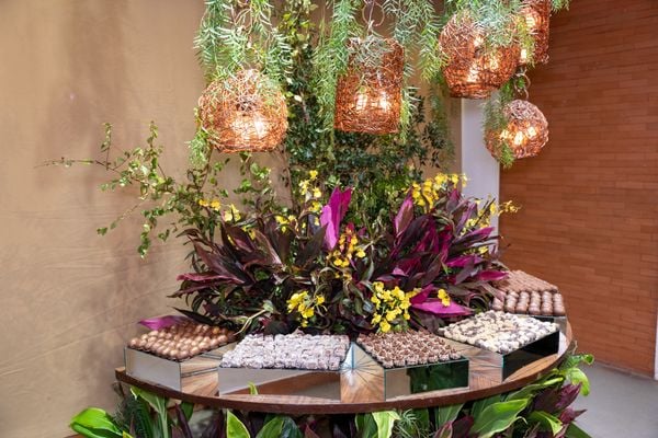 Aniversário de 15 anos de Lara Mendonça Corteletti