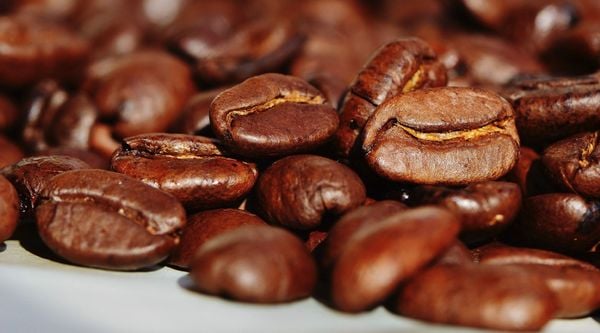 Café, grão