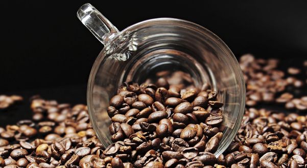 Café, grão, xícara
