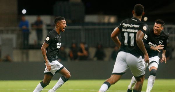 Botafogo vence o Bahia e divide a liderança do Brasileiro com o ...