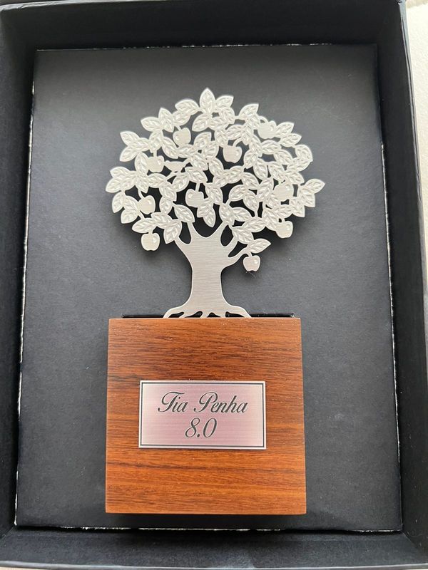 Lembrança do aniversário de Tia Penha: uma obra de Ana Paula Castro