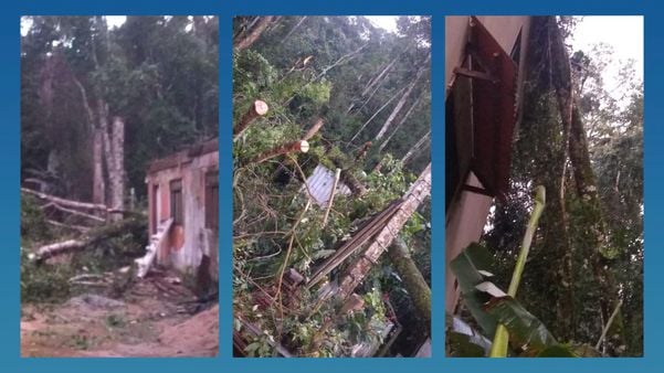 Vargem Alta registra queda de árvores e chuva de granizo