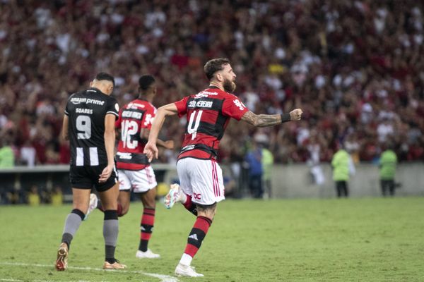 Botafogo e Flamengo se enfrentaram no Maracanã (RJ) pelo Campeonato Brasileiro neste domingo (30)