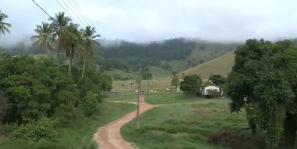 Polícia investiga denúncias de envenenamento de cães e gatos em Cachoeiro