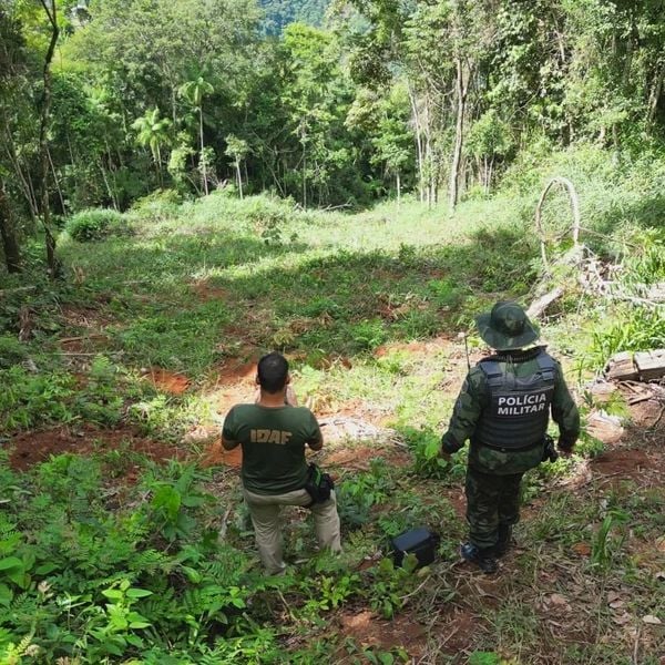 Fiscalização foi na cabeceira do Córrego do Julião, na zona rural do município.