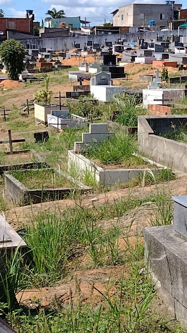 Mato alto toma do cemitério São José, o maior de Linhares, no Norte do Espírito Santo por Eusinete Fiorot