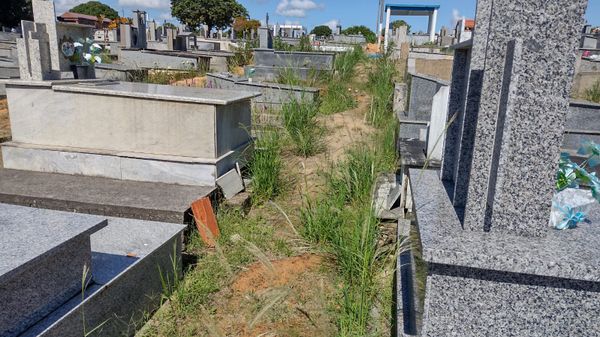 Mato alto toma do cemitério São José, o maior de Linhares, no Norte do Espírito Santo por Eusinete Fiorot