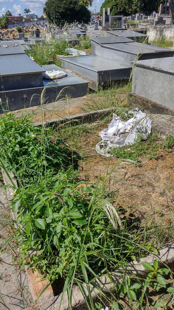 Mato alto toma do cemitério São José, o maior de Linhares, no Norte do Espírito Santo por Eusinete Fiorot