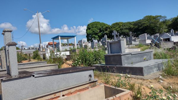 Mato alto toma do cemitério São José, o maior de Linhares, no Norte do Espírito Santo por Eusinete Fiorot