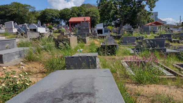 Mato alto toma do cemitério São José, o maior de Linhares, no Norte do Espírito Santo