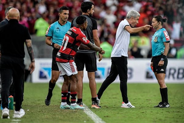 Técnico do Botafogo, Luís Castro, reclamou veementemente com a árbitra Edina Alves