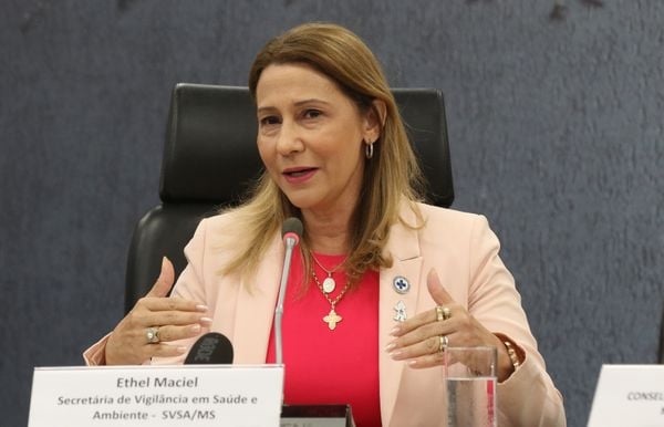 Secretária de Vigilância em Saúde e Ambiente do Ministério da Saúde, Ethel Maciel