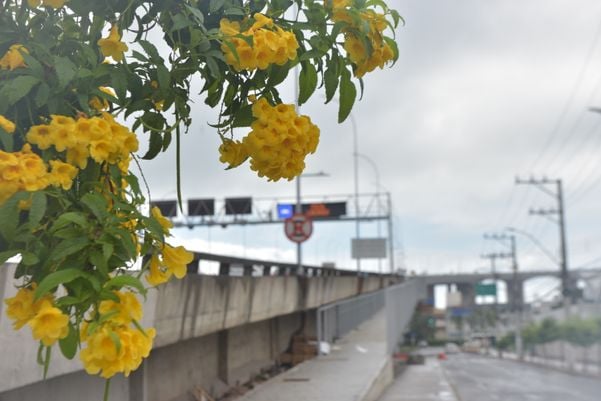 Rampa de acesso à ciclovia da Terceira Ponte sentido Vitória a Vila Velha por Ricardo Medeiros